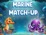 Marine-Matchup
