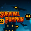 survival pumpkin